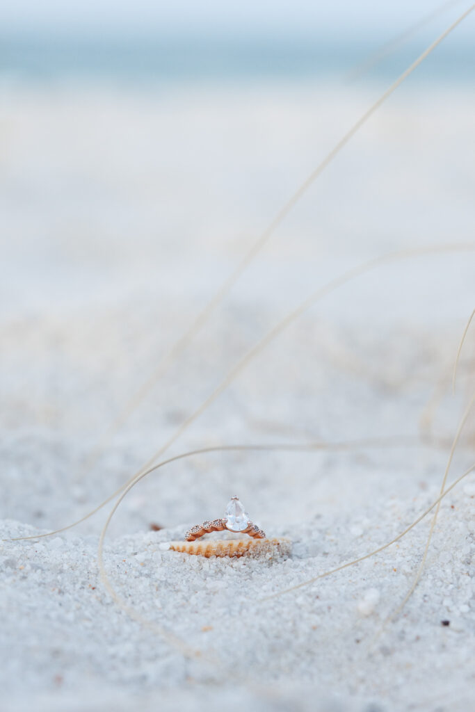 Ocala wedding and engagement photographer washington garden oaks state park jacksonville florida